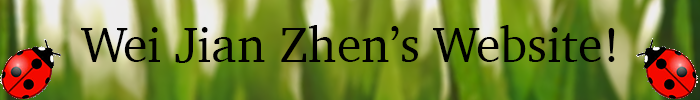 My banner that says 'Wei Jian Zhen's Website!'