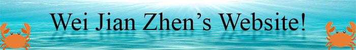 Banner that says Wei Jian Zhen's Website!