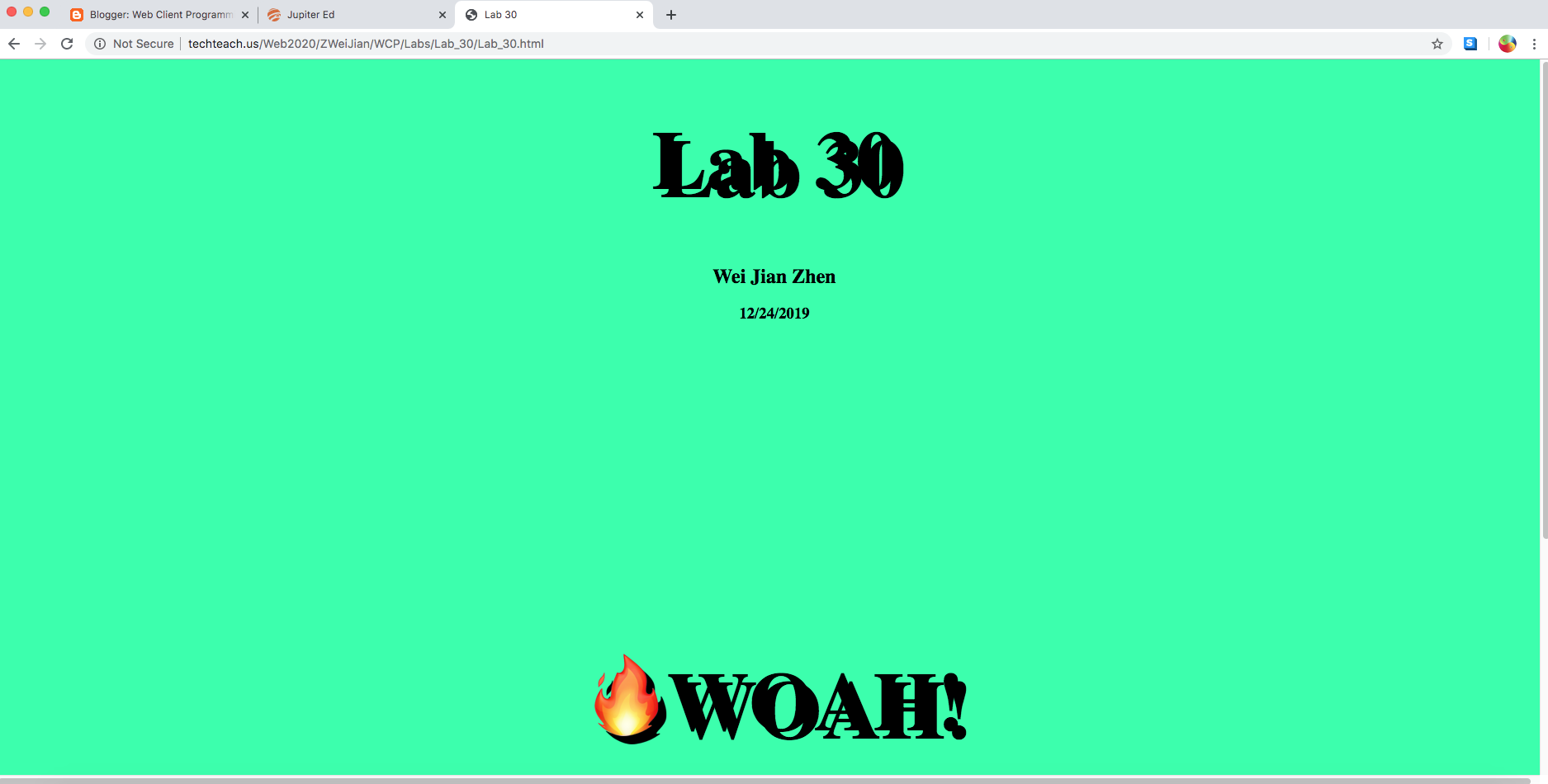 Image of Lab 30